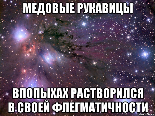 медовые рукавицы впопыхах растворился в своей флегматичности, Мем Космос