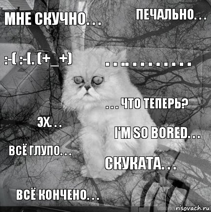 Мне скучно. . . I'm so bored. . . . . .. . . . . . . . . Всё кончено. . . Эх. . . Печально. . . Скуката. . . :-( :-[. (+_+) Всё глупо. . . . . . что теперь?, Комикс  кот безысходность