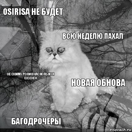 Osirisа не будет Новая обнова Всю неделю пахал багодрочеры не сниму ролик насколько я охуенен     , Комикс  кот безысходность