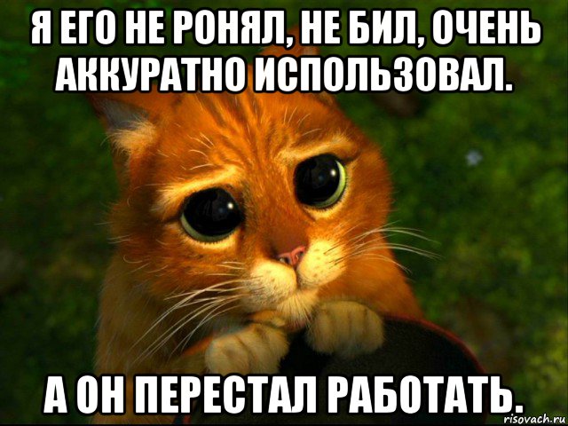 я его не ронял, не бил, очень аккуратно использовал. а он перестал работать., Мем кот из шрека