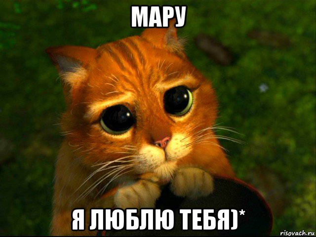 мару я люблю тебя)*, Мем кот из шрека