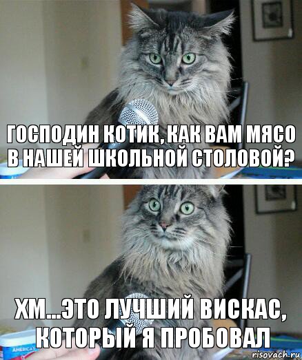 Господин котик, как Вам мясо в нашей школьной столовой? Хм...Это лучший Вискас, который я пробовал, Комикс  кот с микрофоном