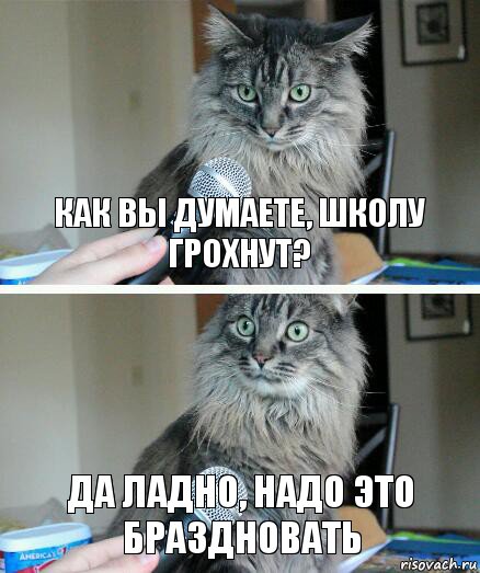 Как вы думаете, школу грохнут? Да ладно, надо это браздновать, Комикс  кот с микрофоном