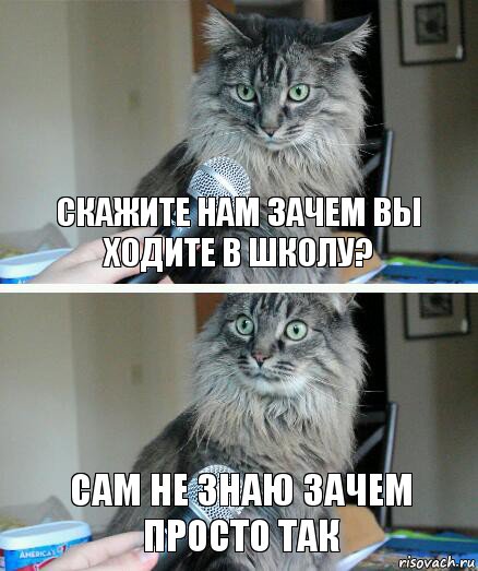 Скажите нам зачем вы ходите в школу? Сам не знаю зачем просто так, Комикс  кот с микрофоном