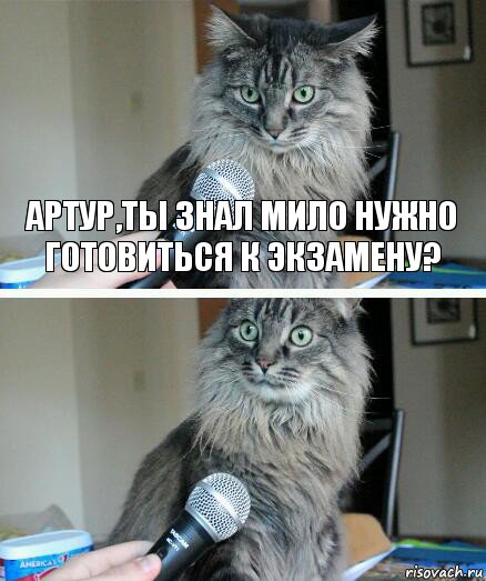 Артур,ты знал мило нужно готовиться к экзамену? , Комикс  кот с микрофоном