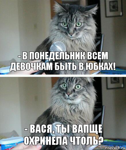 - В понедельник всем девочкам быть в юбках! - Вася, ты вапще охринела чтоль?, Комикс  кот с микрофоном