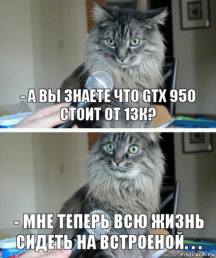 - А вы знаете что GTX 950 стоит от 13к? - мне теперь всю жизнь сидеть на встроеной. . ., Комикс  кот с микрофоном