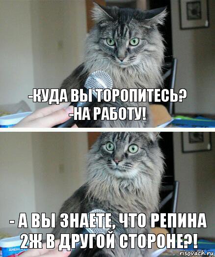 -Куда вы торопитесь?
-На работу! - А Вы знаете, что репина 2ж в другой стороне?!, Комикс  кот с микрофоном