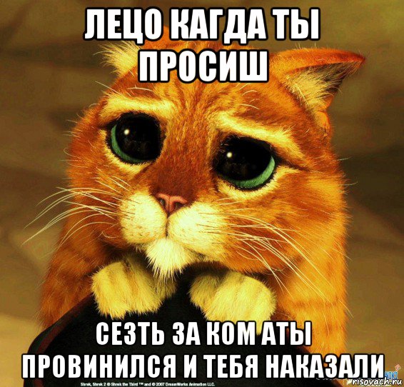 лецо кагда ты просиш сезть за ком аты провинился и тебя наказали, Мем Котик из Шрека