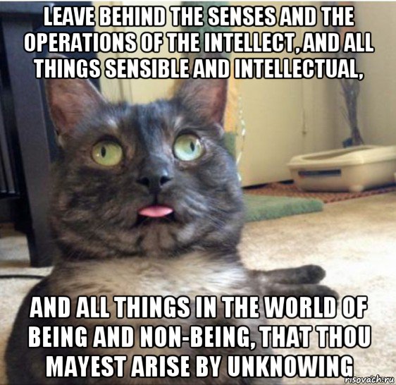 leave behind the senses and the operations of the intellect, and all things sensible and intellectual, and all things in the world of being and non-being, that thou mayest arise by unknowing, Мем   Кот завис