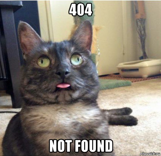 404 not found, Мем   Кот завис