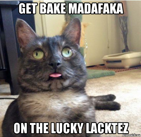 get bake madafaka on the lucky lacktez, Мем   Кот завис