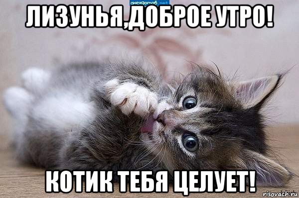 лизунья,доброе утро! котик тебя целует!