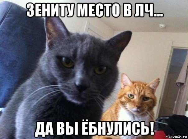 зениту место в лч... да вы ёбнулись!, Мем  Два котэ