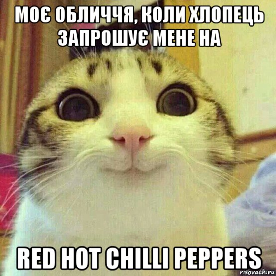 моє обличчя, коли хлопець запрошує мене на red hot chilli peppers, Мем       Котяка-улыбака