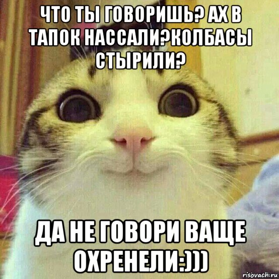 что ты говоришь? ах в тапок нассали?колбасы стырили? да не говори ваще охренели:))), Мем       Котяка-улыбака