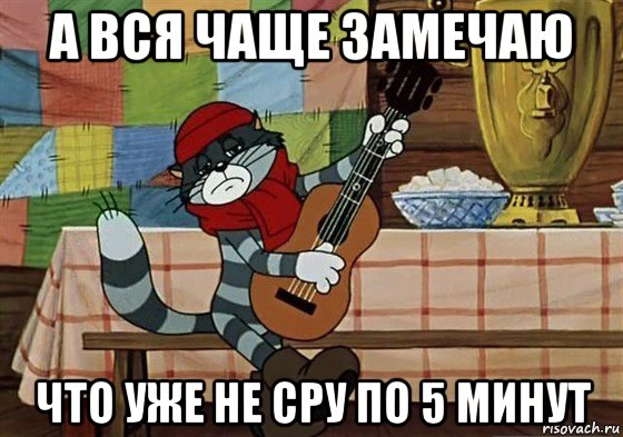 а вся чаще замечаю что уже не сру по 5 минут, Мем Грустный Матроскин с гитарой