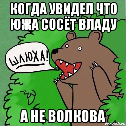 когда увидел что южа сосёт владу а не волкова, Мем Медведь в кустах