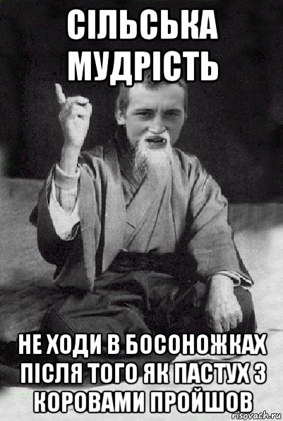 сільська мудрість не ходи в босоножках після того як пастух з коровами пройшов, Мем Мудрий паца