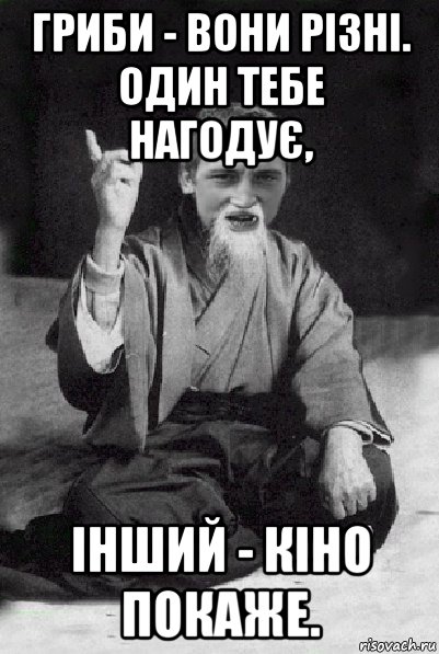 гриби - вони різні. один тебе нагодує, інший - кіно покаже., Мем Мудрий паца