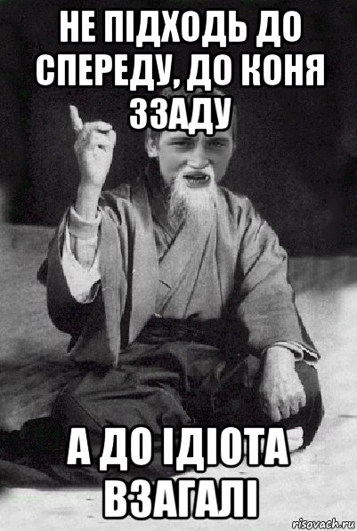 не підходь до спереду, до коня ззаду а до ідіота взагалі, Мем Мудрий паца