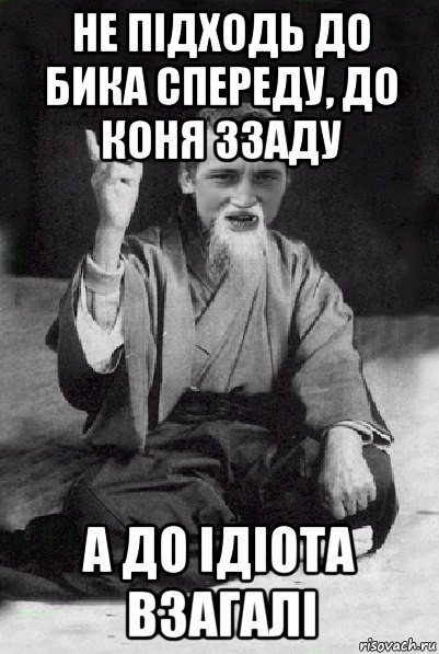 не підходь до бика спереду, до коня ззаду а до ідіота взагалі, Мем Мудрий паца