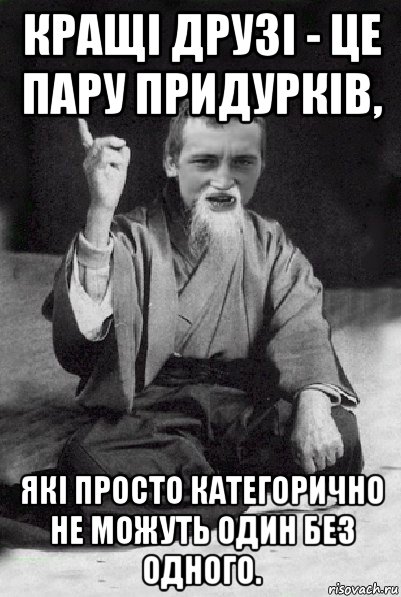 кращі друзі - це пару придурків, які просто категорично не можуть один без одного., Мем Мудрий паца