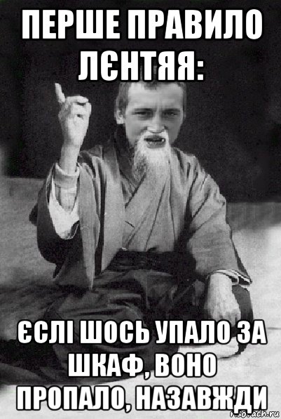 перше правило лєнтяя: єслі шось упало за шкаф, воно пропало, назавжди, Мем Мудрий паца