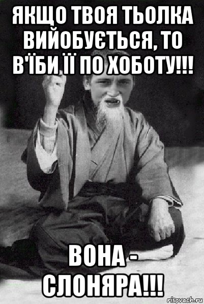 якщо твоя тьолка вийобується, то в'їби її по хоботу!!! вона - слоняра!!!, Мем Мудрий паца