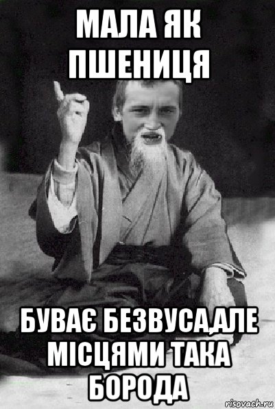 мала як пшениця буває безвуса,але місцями така борода, Мем Мудрий паца