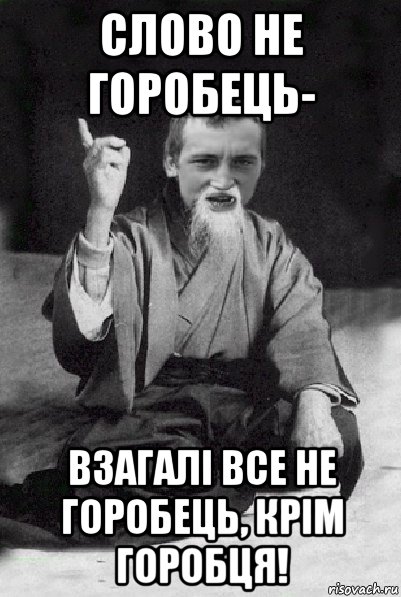 слово не горобець- взагалі все не горобець, крім горобця!, Мем Мудрий паца