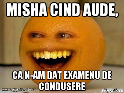 misha cind aude, ca n-am dat examenu de condusere, Мем Надоедливый апельсин