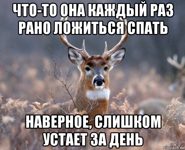 что-то она каждый раз рано ложиться спать наверное, слишком устает за день, Мем   Наивный олень