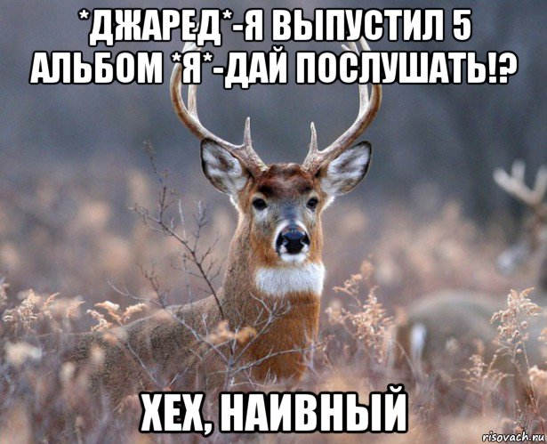 *джаред*-я выпустил 5 альбом *я*-дай послушать!? хех, наивный, Мем   Наивный олень