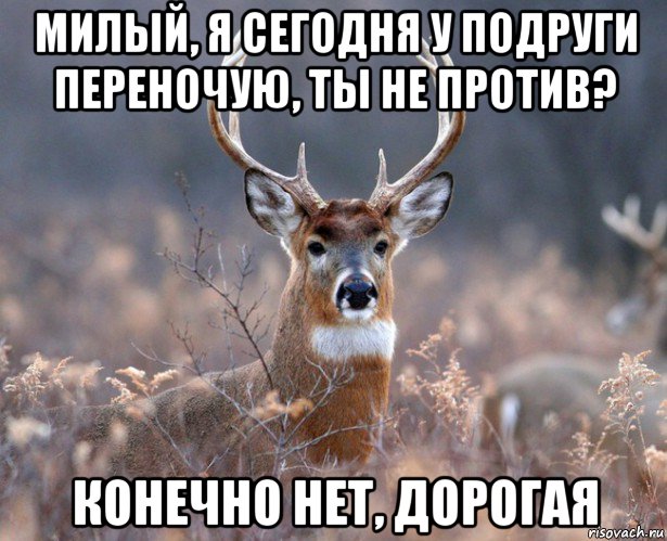 милый, я сегодня у подруги переночую, ты не против? конечно нет, дорогая, Мем   Наивный олень