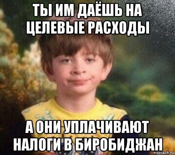 ты им даёшь на целевые расходы а они уплачивают налоги в биробиджан, Мем Недовольный пацан