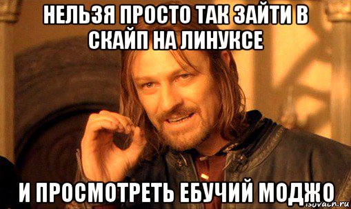 нельзя просто так зайти в скайп на линуксе и просмотреть ебучий моджо, Мем Нельзя просто так взять и (Боромир мем)