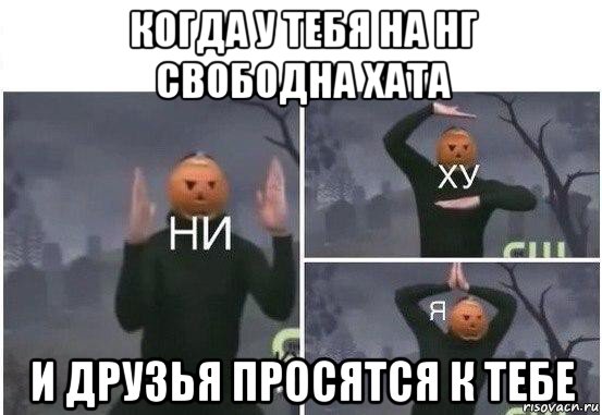 когда у тебя на нг свободна хата и друзья просятся к тебе, Мем  Ни ху Я