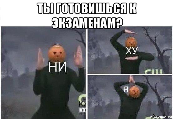 ты готовишься к экзаменам? , Мем  Ни ху Я