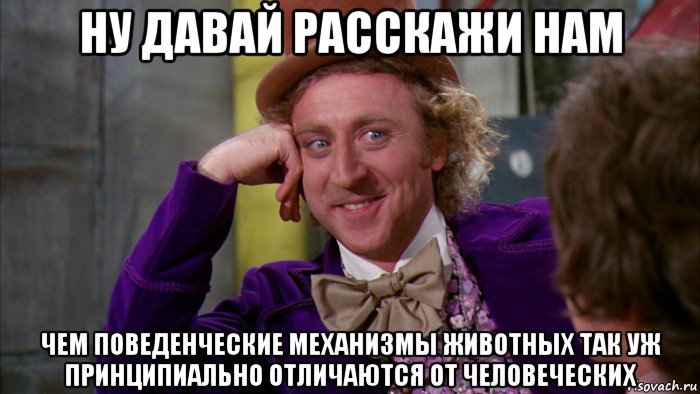 ну давай расскажи нам чем поведенческие механизмы животных так уж принципиально отличаются от человеческих, Мем Ну давай расскажи (Вилли Вонка)