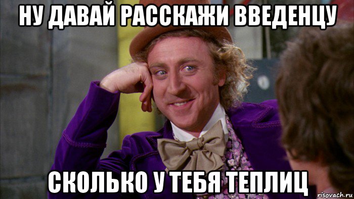 ну давай расскажи введенцу сколько у тебя теплиц, Мем Ну давай расскажи (Вилли Вонка)