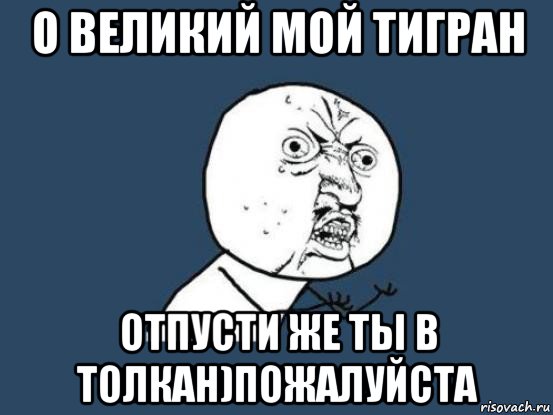 о великий мой тигран отпусти же ты в толкан)пожалуйста, Мем Ну почему