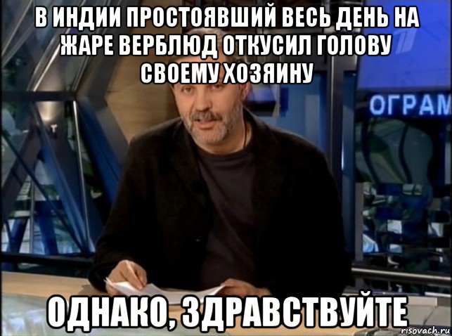 в индии простоявший весь день на жаре верблюд откусил голову своему хозяину однако, здравствуйте, Мем Однако Здравствуйте