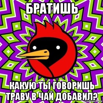 братишь какую ты говоришь траву в чай добавил?, Мем Омская птица