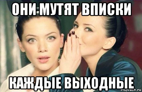 они мутят вписки каждые выходные, Мем  Он