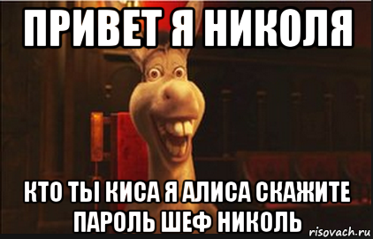 привет я николя кто ты киса я алиса скажите пароль шеф николь, Мем Осел из Шрека