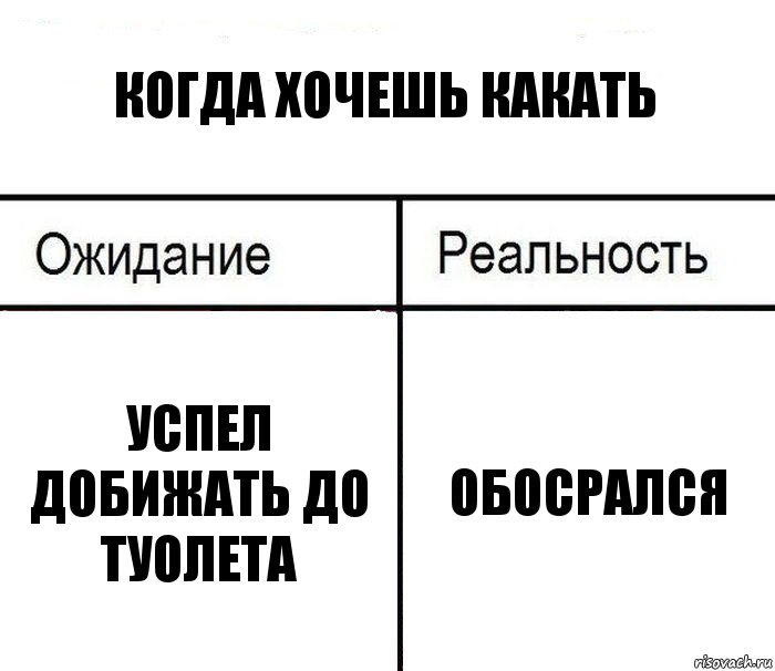 когда хочешь какать успел добижать до туолета обосрался, Комикс  Ожидание - реальность