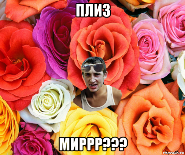 плиз миррр???, Мем  пацанчо