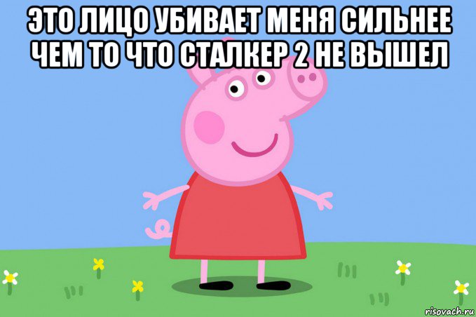 это лицо убивает меня сильнее чем то что сталкер 2 не вышел , Мем Пеппа