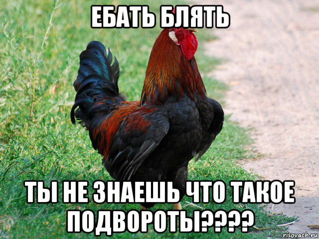 ебать блять ты не знаешь что такое подвороты????